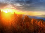 fabulous yosemite park sunrise hdr