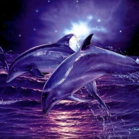 Dolphins