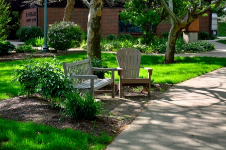 Relaxing Spring Day - Relaxing Spring Day, park bench, spring day, beautiful spring day, relaxing day