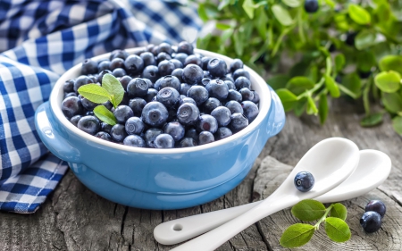 * Blueberries * - food, fresh, nature, fruits