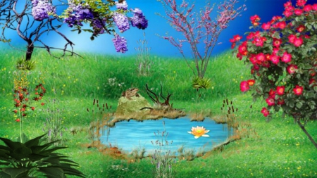 ~*~ Spring ~*~ - flog, lake, flowers, spring