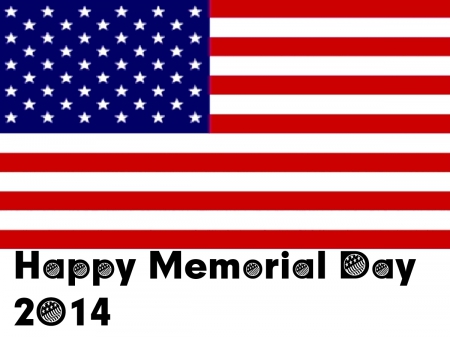 Happy Memorial Day 2014 - american, holiday, happy, for dn members