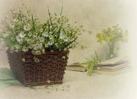 â™¥ - flowers, still life, soft, beauty