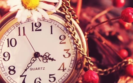 â™¥ - watch, time, flower, soft