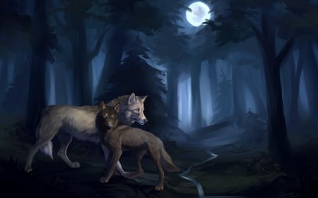 Wolves - moon, forest, couple, wolf