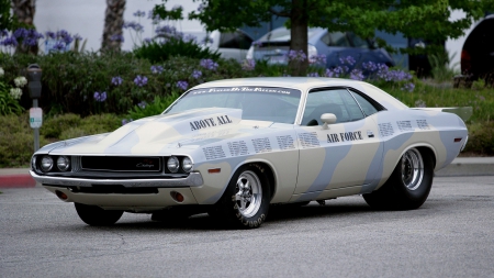 Dodge Challenger Muscle Hot Rod - old-timer, car, hot rod, dodge, challenger, muscle