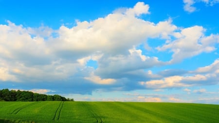 bliss - bliss, field, nature, sky