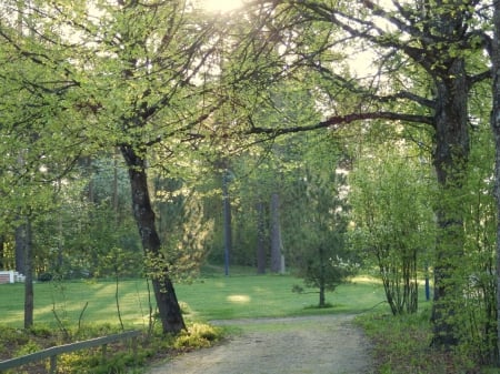 Park - green, park, summer, sun