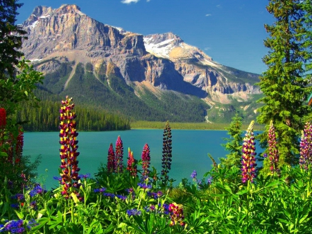 Emerald lake - lake, sky, mountain, national park, rocks, nature, emerald, beautiful, canada, flowers, lupin, wildflowers, cliffs