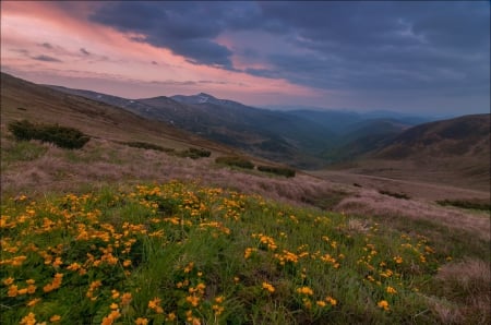 Karpaty - nature, ukraine, karpaty, photography, mountains