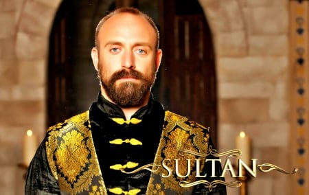 Halit Ergenc as Suleyman the Magnificent - actor, Halit Ergenc, turkish, Suleyman the Magnificent, tv series, Magnificent Century, man