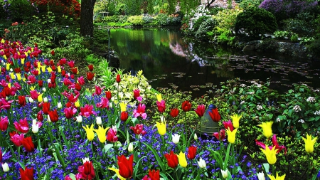 Springtime Park - hyacinths, blossoms, trees, river, tulips, water