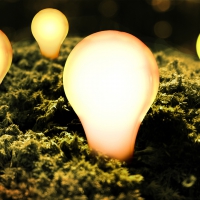  Electric Bulb