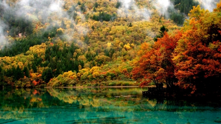 fog rising from a forest around a clear lake - lake, forest, clear, fog, mountain, autumn