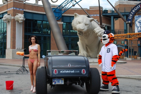 Tigers - wash, sexy, model, hotrod