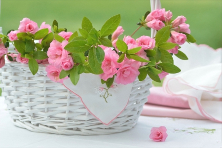 * Azalias * - flower, pink, flowers, basket, nature