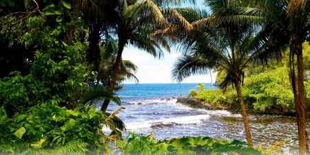 Natural Window To Beach, Oahu - Hawaii, beach, beautiful, palm trees, island, ocean, seashore