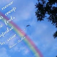 An Impulse to Soar...