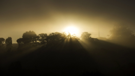 sunrise - nature, rays, sunrise, trees