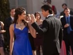 Elena & Damon