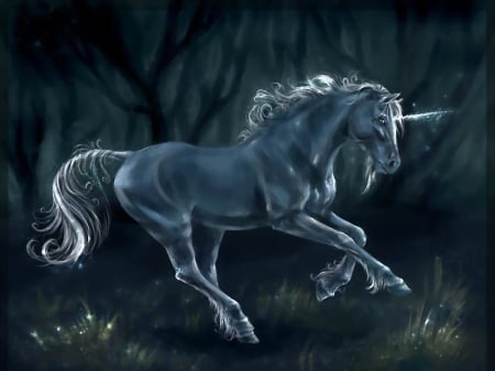 Unicorn - black, fantasy, horn, night, unicorn, art, horse, dark