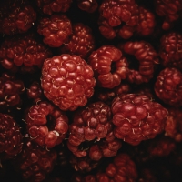 Raspberries