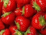 â™¥Strawberryâ™¥