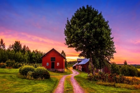 End of the Day - house, path, countryside, trees, sunset, sky