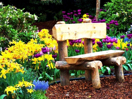 Silent Place - tulips, blossoms, garden, springtime, bench