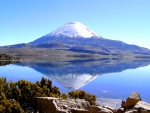 PARINACOTA, CHUNGARA LAKE (CHILE)