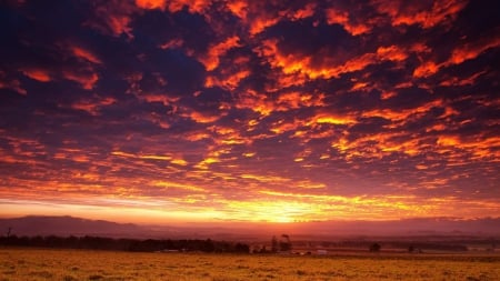 marvelous fiery sky over rural landscape - clouds, sunset, fields, fiery, sky, rural