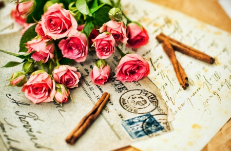 Still Life - flowers, letter, vanilla, roses