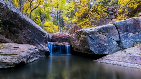 Peaceful Fall Morning - autumn, trees, utah, waterfall, creek, canyon, beautiful, rock, zion national park