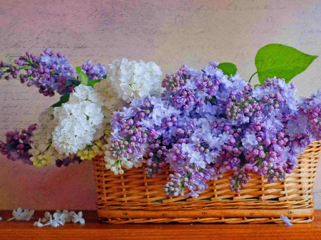 White and mauve beauty - white, lilacs, mauve, basket, flowers