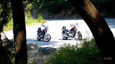 1985 and 1986 Kawasaki 454's - motorcycles, widescreen, kawasaki, washington