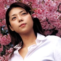 cute actress,under cherry blossom,Miho Yoshioka