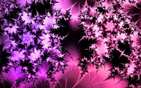 Split - computer art, pink, purple, fractal