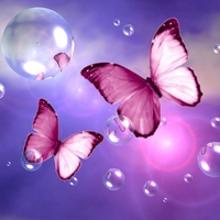 Pink Butterfly Dream