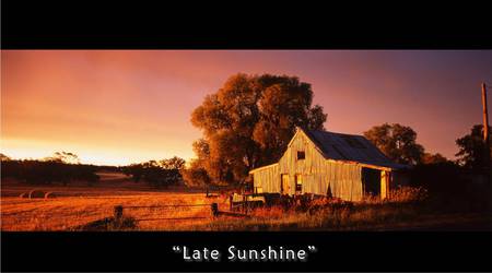 Late Sunshine - dry grass, homestead, australia, trees