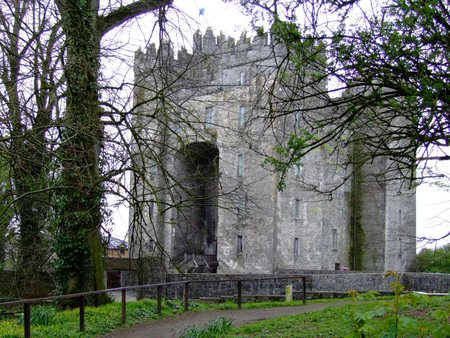 Bunratty Castle - fence, ireland, trees, castle