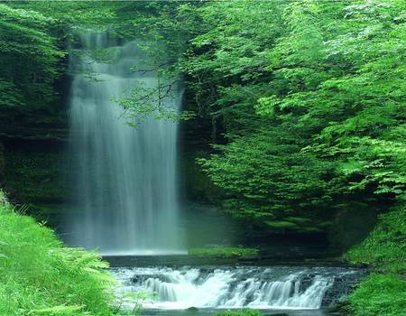 Glencar Waterfall, Ireland - river, ireland, ferns, waterfall