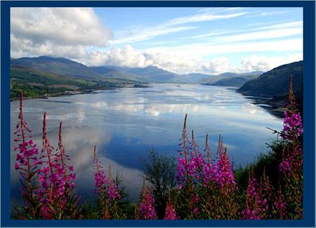 Irish View - flowers, clouds, river, mountains, ireland