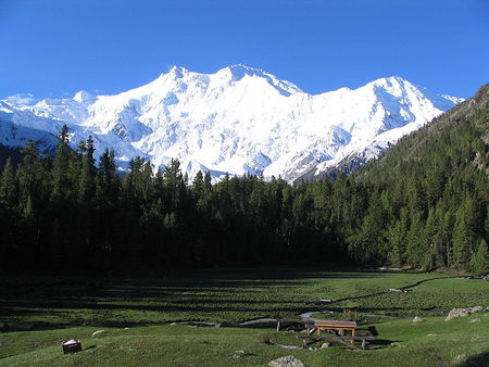 FAIRY MEDOW PAKISTAN - amazing, beutifull, forest, fairy medow, nanga parbath, pakistan