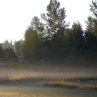 September Morning Fog 