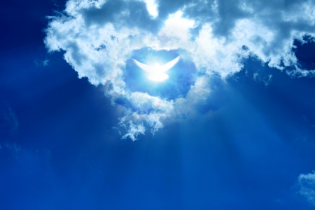 Simply Beautiful - rays, nature, sky, dove, clouds, magic, sun, sunrays