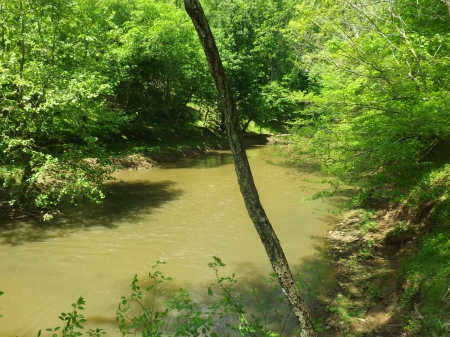 Exploring The River - green, bank, trees, river