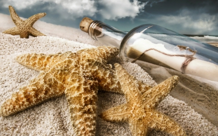 Starfish - starfish, sands, brown, bottle