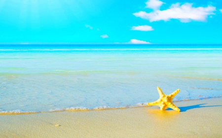 Starfish - starfish, nature, beach, sky