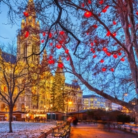 vienna town hall on a winter evening hdr