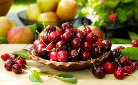 ♥Cherry♥ - berries, fresh, plate, cherry, sweet